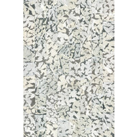 Mooi - Armoured Boar – Black & White