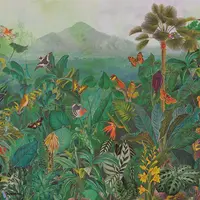 Birds of Paradise - The Tropics