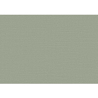 Birds of Paradise -Silky