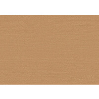 Birds of Paradise -Silky