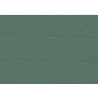 Birds of Paradise -Silky