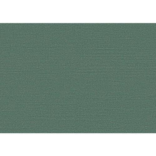 Arte Birds of Paradise -Silky Arte Birds of Paradise -Silky