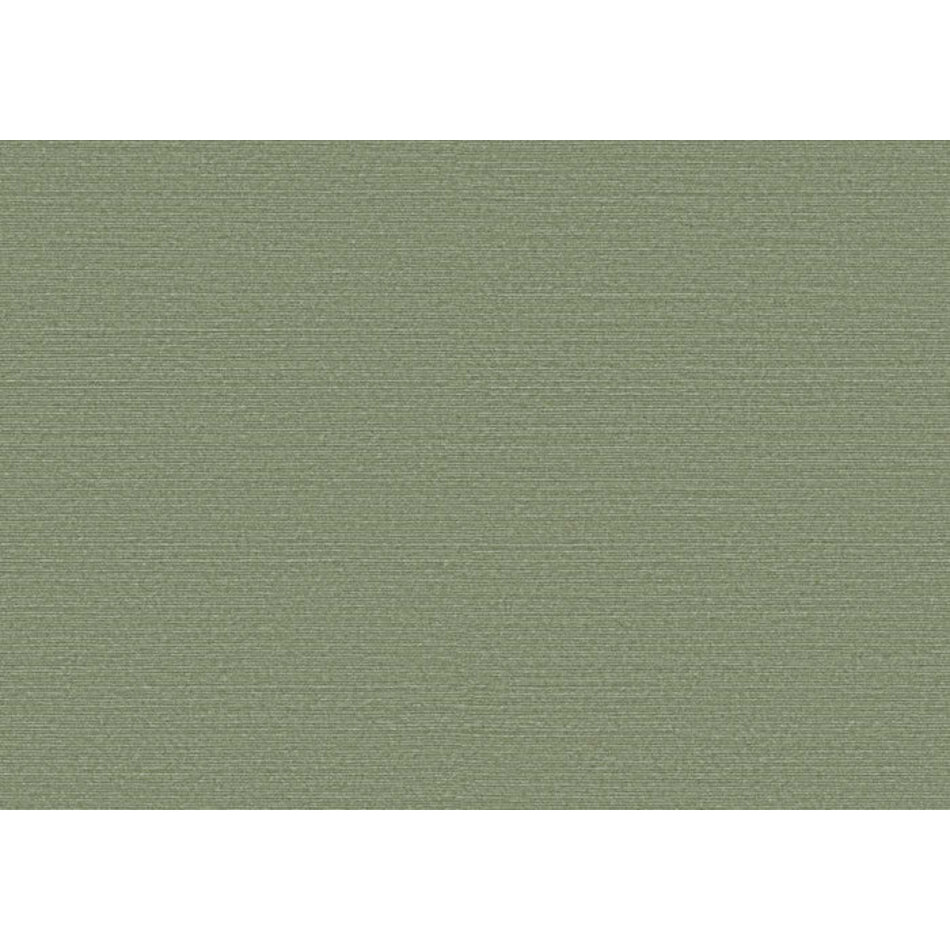 Arte Birds of Paradise -Silky