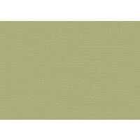 Birds of Paradise -Silky