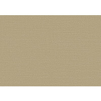 Birds of Paradise -Silky