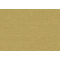 Birds of Paradise -Silky