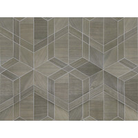 Sycamore - Cubist - Gray / Taupe