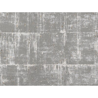 Antares - Ant2 - Grey / Silver