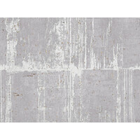 Antares - Ant1 - Grey / Silver