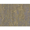 Antares - Ant5 - Gold Bronze