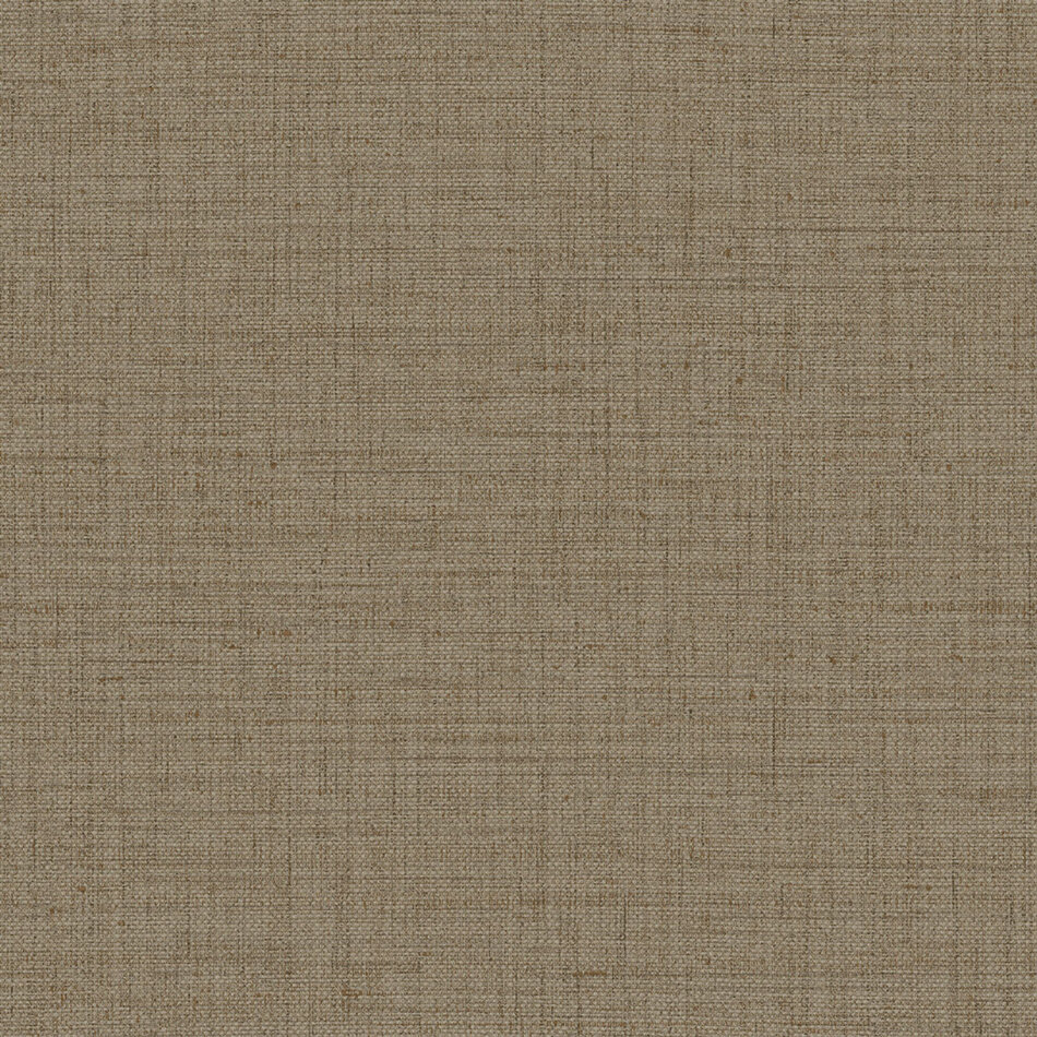 Arte Figura - Puro Arte Figura - Puro