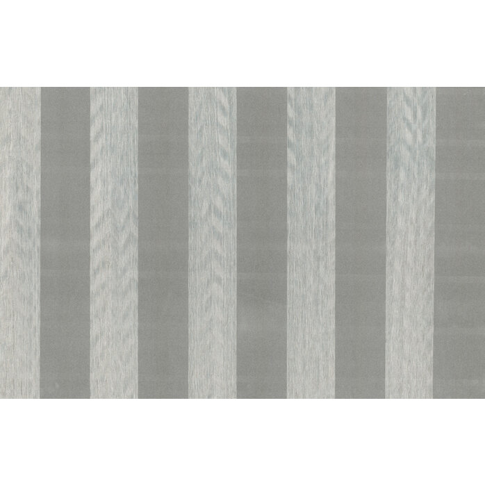 Arte Amazone 2 - Trail - Gray / Silver