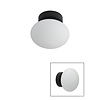 PARADISO PLAFOND/WANDLAMP G9 ZWART MET O