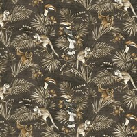 Expedition - Sumatra - Brown