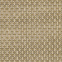 Wildwalk - Ferox - Beige