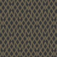 Insolence - Moxie - Black