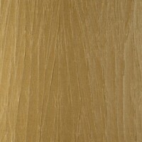 Noctis - Pyxis - Yellow / Brown