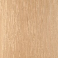 Noctis - Pyxis - Yellow / Beige