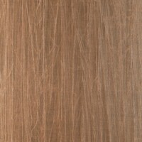 Noctis - Pyxis - Brown