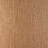 Noctis - Pyxis - Light Brown / Yellow