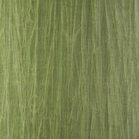 Noctis - Pyxis - Green