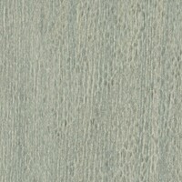 Bois Sculpté - Gouge - Bois flotté