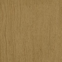 Bois Sculpté - Gouge - Fort comme un chêne