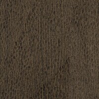 Bois Sculpté - Gouge - Bois d'agar