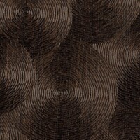 Bois Sculpté - Volute - L'empreinte du temps