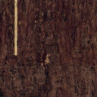 Essence Liege - Etincelle - Une Force Naturelle