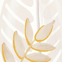 Flower Power - Alocasia - Une Constante Elegance