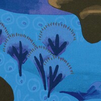 Les petites histoires - Reves de Manille - Soleil de minuit