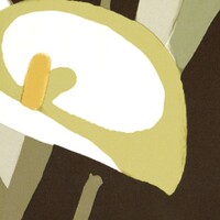 Flower Power - Arum - Comme Une Perle Rare