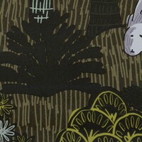 Les petites histoires - Renard & Co - Les stars de la foret