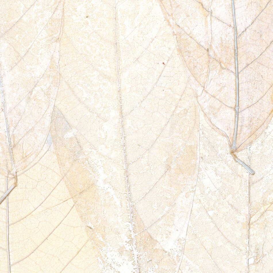 Élitis Ecrin - Blanche Neige - Il Etait Une Fois Élitis Ecrin - Blanche Neige - Il Etait Une Fois