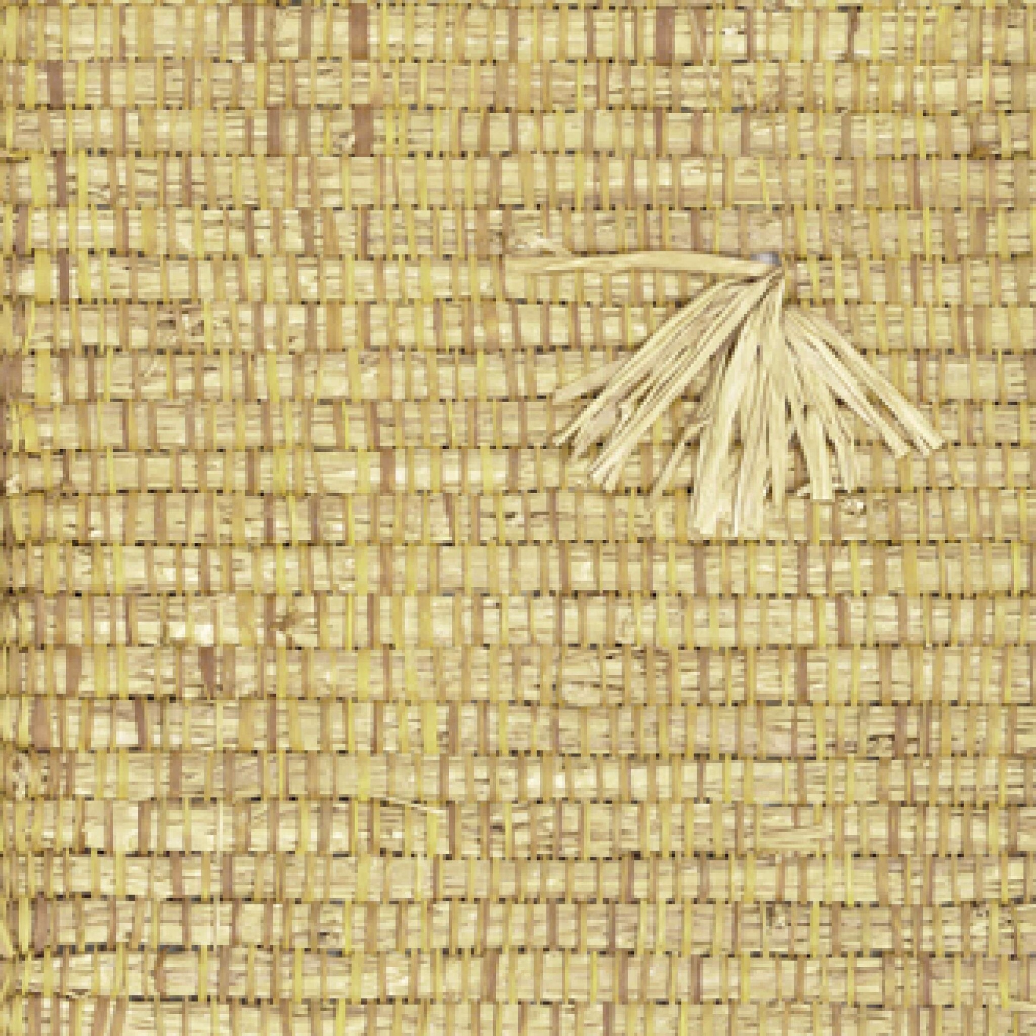 Raw Raffia Élitis Raw raffia - Nosy Be - Prendre son temps - Proluca Interiors