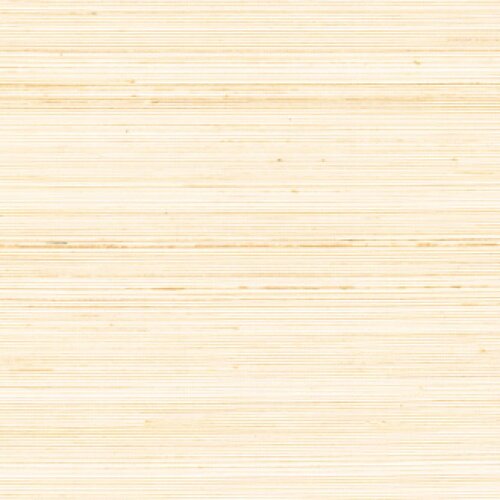 Élitis Coiba - Coiba - Lever Le Voile ! Élitis Coiba - Coiba - Lever Le Voile !