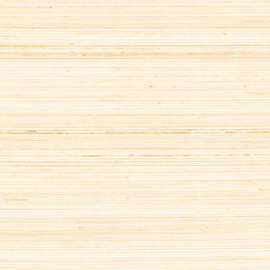 Élitis Coiba - Coiba - Lever Le Voile ! Élitis Coiba - Coiba - Lever Le Voile !