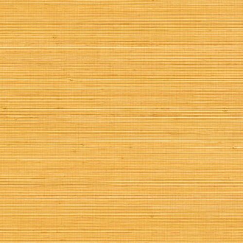 Élitis Coiba - Coiba - Port de La Lune Élitis Coiba - Coiba - Port de La Lune