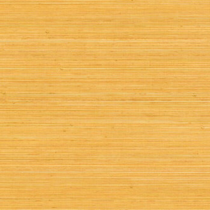 Élitis Coiba - Coiba - Port de La Lune