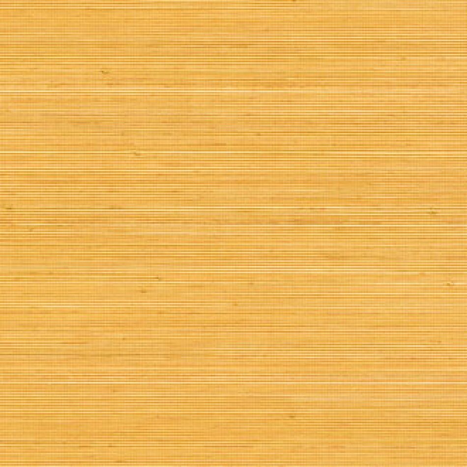 Élitis Coiba - Coiba - Port de La Lune Élitis Coiba - Coiba - Port de La Lune