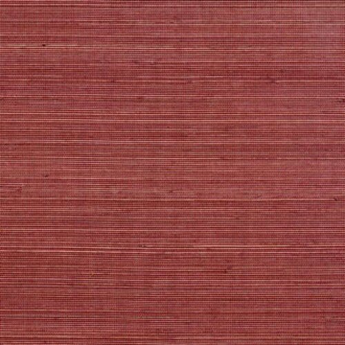 Élitis Coiba - Coiba - Sous Le Charme Élitis Coiba - Coiba - Sous Le Charme