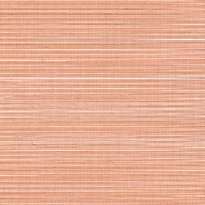 Élitis Coiba - Coiba - Au Rythme de Belles Rencontres