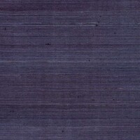 Coiba - Coiba - Elegance Minimale