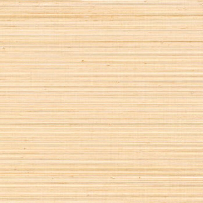 Élitis Coiba - Coiba - Un Premier Matin