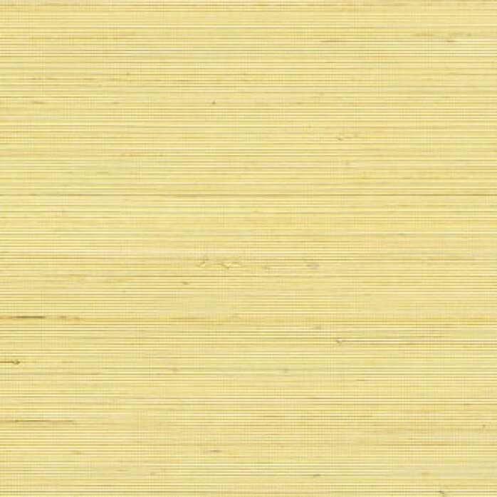 Élitis Coiba - Coiba - Place a L'ete !