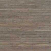 Coiba - Coiba - Un Faux Conformism