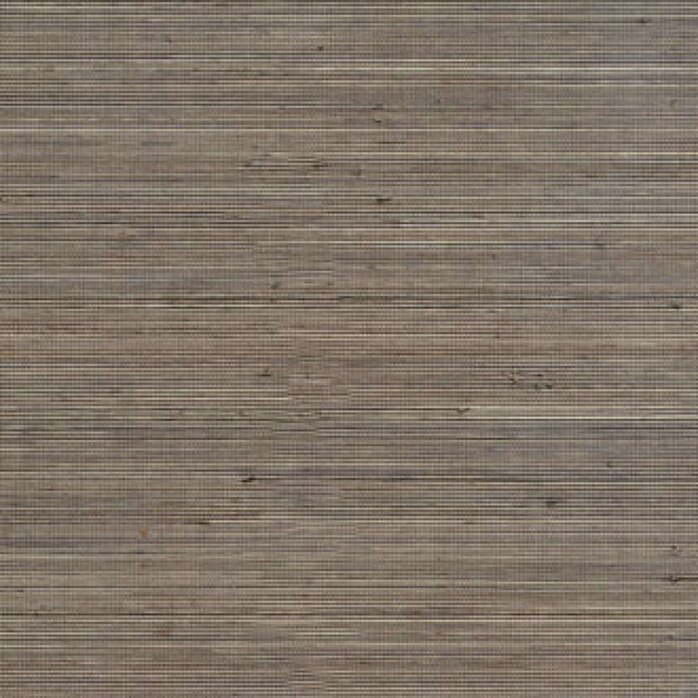 Élitis Coiba - Coiba - Un Faux Conformism