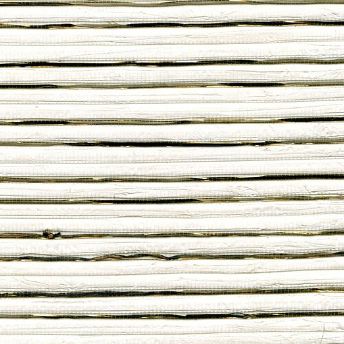 Élitis Oceania - Nema - Un Regard Virginal Élitis Oceania - Nema - Un Regard Virginal