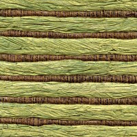 Oceania - Bitibiti - La Haut, Dans Les Brumes